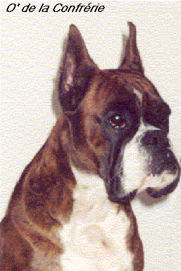 Pedigree de Championne de France O de la Confrrie dite Orka